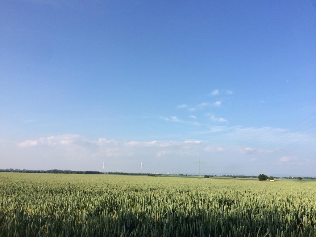 Апартаменты Alte Heimat Schwegenheim Экстерьер фото