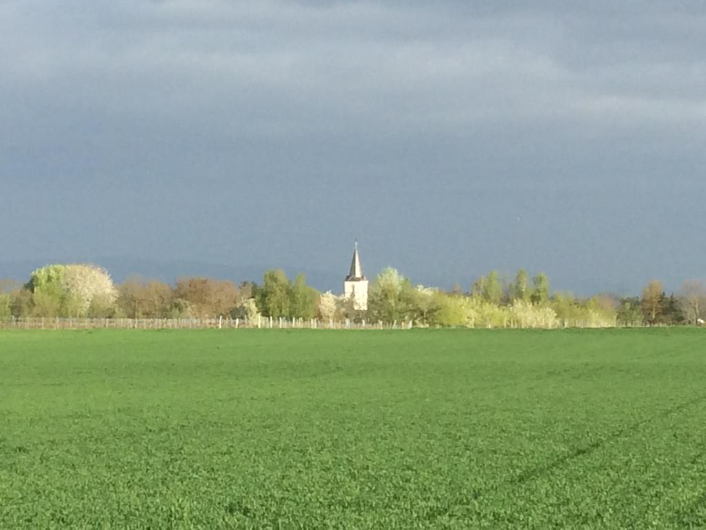 Апартаменты Alte Heimat Schwegenheim Экстерьер фото
